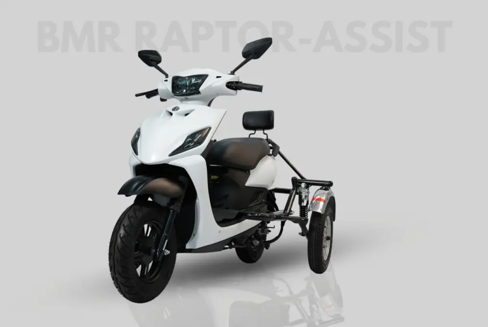 RAPTOR-ASSIST