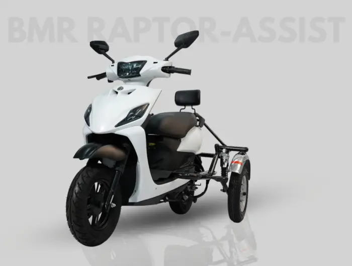 RAPTOR-ASSIST